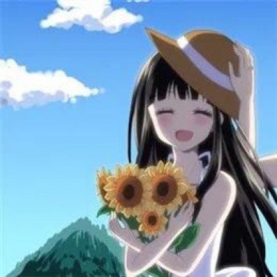 宠物狗上桌舔盘子